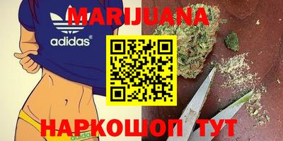 дурь Гай