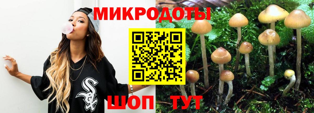 Псилоцибиновые грибы мухоморы  Вход с VPN  Жигулёвск  Галлюциногенные грибы Psilocybe 